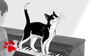 Katze müsste man sein ...spielend am Klavier!