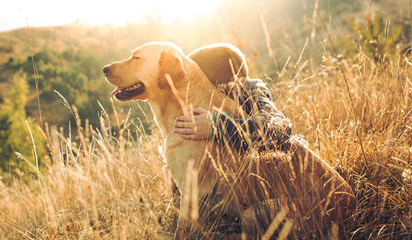 boy with dog
